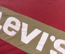 Levi's Graphic T-shirt Reddish Corral And Olive