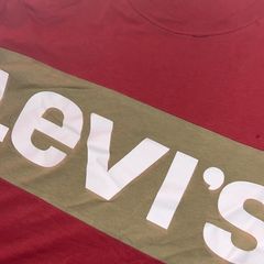 Levi's Graphic T-shirt Reddish Corral And Olive