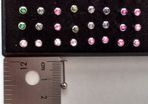 Lip Bars - 12mm Long - Monster Country Girl Fox Head Logo