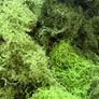 Artificial moss pack - 3 shades of green Image 4