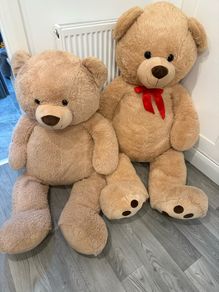 teddy