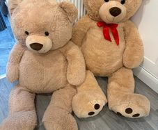 teddy