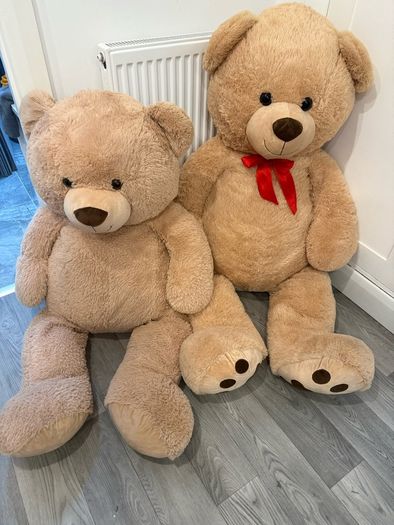 teddy