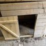 Very large dog kennel/Dog run Image 6