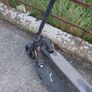 electric scooter Image 2