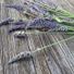 saffron3