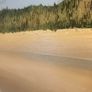 Beautiful beach painting on canvas by up and coming local artist.Phil Daly Image 7