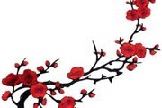 Flowers Clothing Embroidery