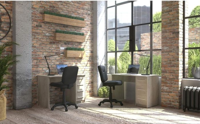 Office Chair (2 available)