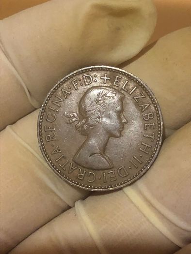 Elizabeth Halfpenny  x28 Pictures of each coin