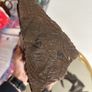 carved Dolphin Image 4