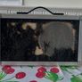 Dan-Sound AV15 MKII Cassette Recorder Portable Multi-Headphones Lo-Fi Music Image 7