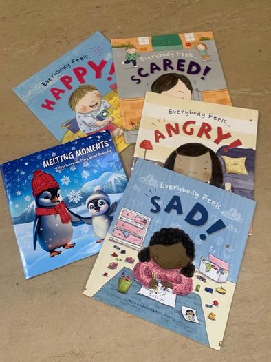 Large Childrens Book Bundle. English and Irish