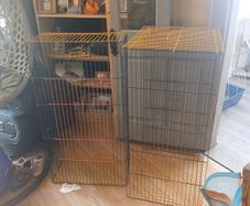 cage double for sale