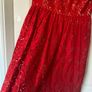 Beautiful red lace occasion wear dress - Adrianna Papell Image 4