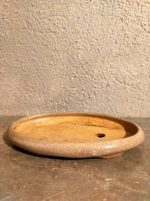 Medium Bonsai Pot #5