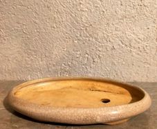 Medium Bonsai Pot #5