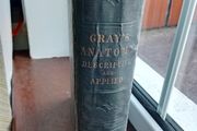 Gray's Anatomy Descriptive &amp; Applied 1913 Antique Medical