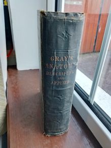 Gray's Anatomy Descriptive & Applied 1913 Antique Medical