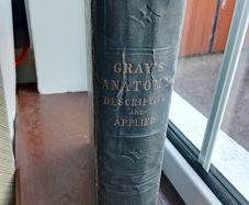Gray's Anatomy Descriptive & Applied 1913 Antique Medical