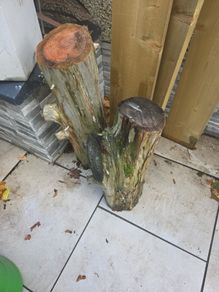 fire wood
