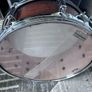 Pearl Decade Maple Image 7