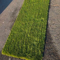 artificial grass