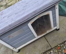 insulated dog kennel