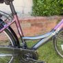 Apollo Elyse Women's Bike with Carrier Basket Image 4