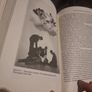Documentation, Disappearance and the Representation of Live Performance (Hardcover) Image 10