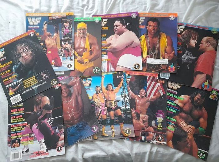 Wwf Magazines 1993