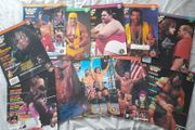 Wwf Magazines 1993