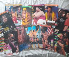 Wwf Magazines 1993