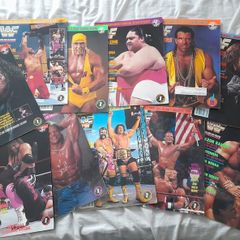 Wwf Magazines 1993