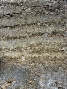 Silage