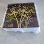 Set Of 4 Glass Costar's By Torre Tagus Collection. Image 4