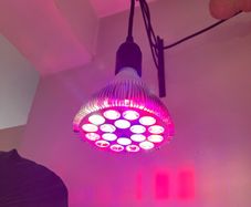 54W Full Spectrum LED Grow Light Bulb E27 Brand New