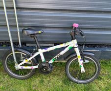 Frog Bike 48