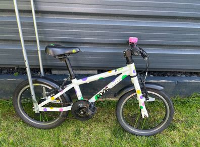 Frog Bike 48