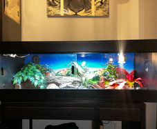 reptile vivarium