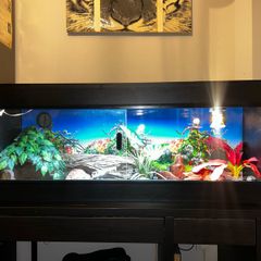 reptile vivarium