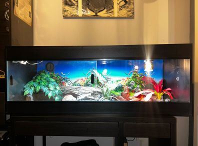 reptile vivarium