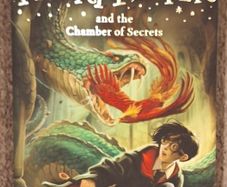 Harry Potter Book