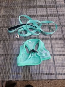 dog harness and lead