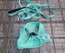 dog harness and lead