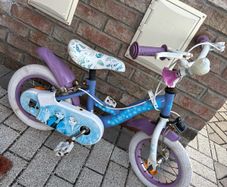 frozen bike