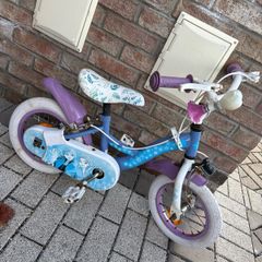 frozen bike