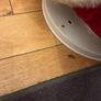 santa Image 4