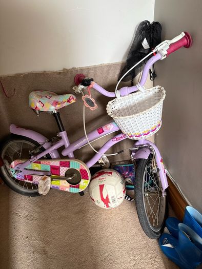 free kids bike