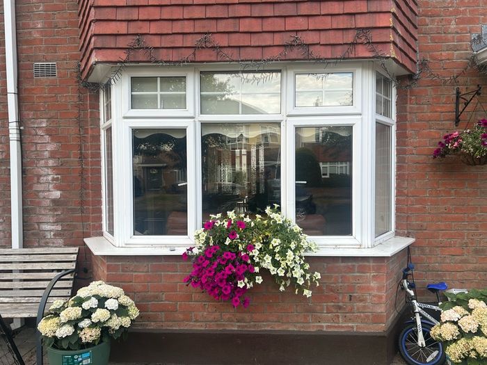 Bay Windows